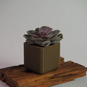 VerdeForm｜條紋花盆